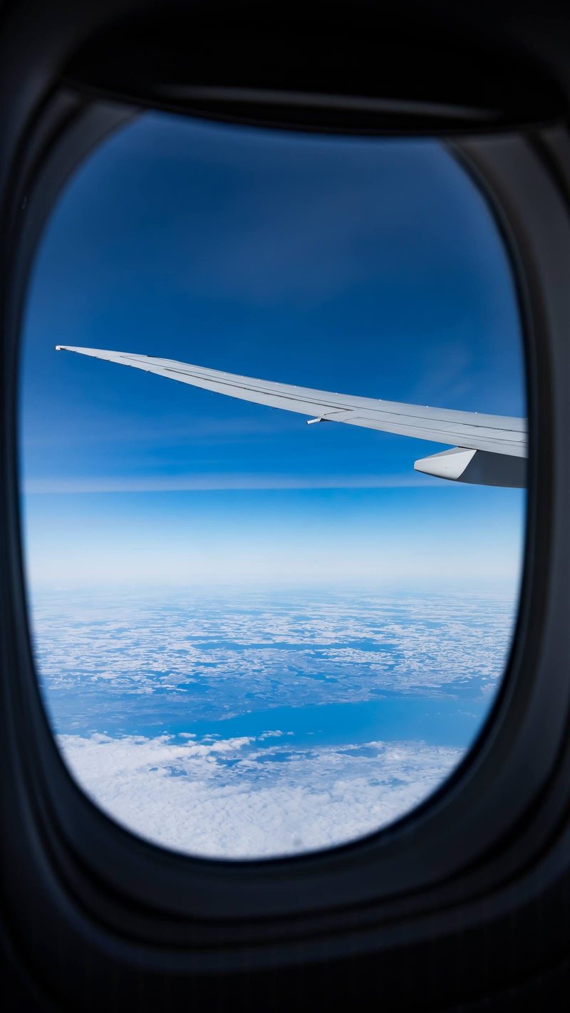 Protecting your frozen embryo during international transport
